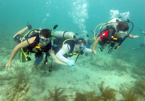 Scott Schroeder, center, a U.S. Army Special Operations Chief Warrant Officer, scuba dives with his son Zachary, left, and wife Laura, in the Florida Keys National Marine Sanctuary off Key West. Schroeder and his family participated in a recreational therapy program organized by the Task Force Dagger Foundation that focuses simultaneously on injured soldiers, their spouses and children. Photo by Bob Care/Florida Keys News Bureau